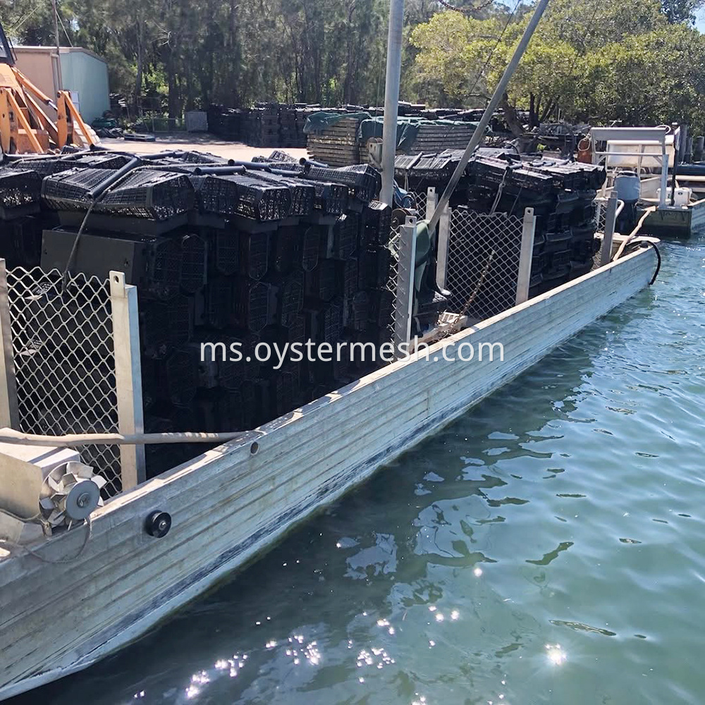 Oyster Cradle Rolling Culture Usage (1)